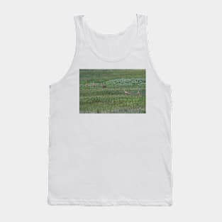 850_1935 Tank Top